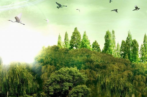 世界十大财团家族2025近期排名前十名分析