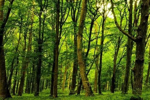 十大控油洗发水品牌2025年排名前十名榜单出炉