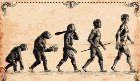 人类为何裸奔千万年