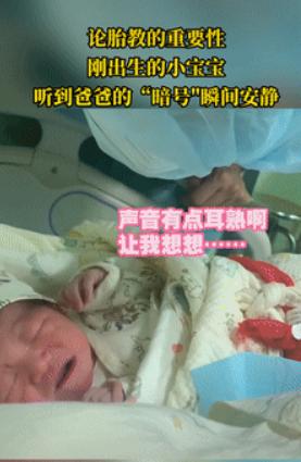 山东爸爸胎教太神奇！宝宝出生一听到这句暗语秒停哭